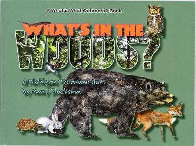 What's In the Woods?: A Great Lakes Area Treasure Hunt