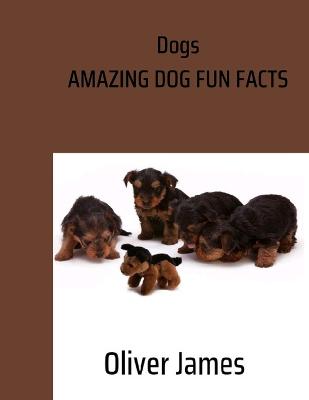 Dogs: Amazing Dog fun facts