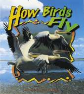 How Birds Fly
