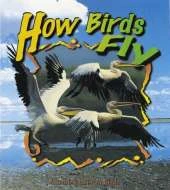 How Birds Fly