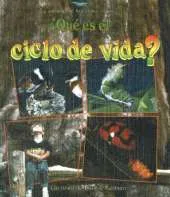 Que es el Ciclo de Vida?