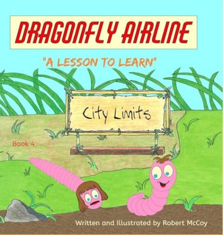 Dragonfly Airline - "A Lesson to Learn"
