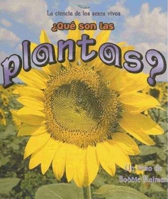 Que son las Plantas?