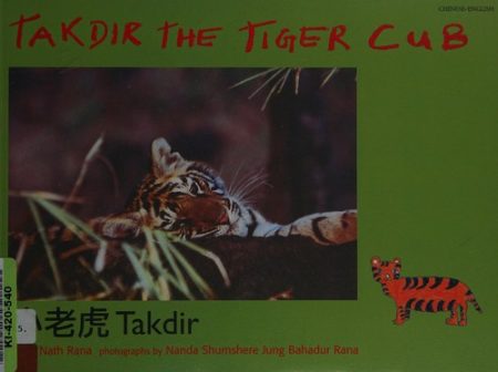 Takdir the Tiger Cub