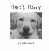 Here's Harry