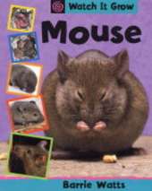 Watch It Grow: Mouse
