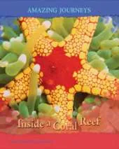 Inside a Coral Reef