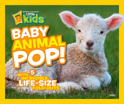 Baby Animal Pop!: With 5 Incredible, Life-Size Fold-Outs