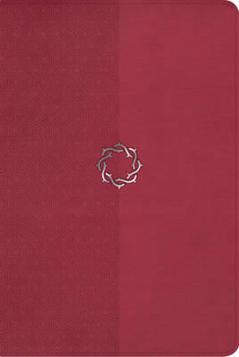 The HCSB Essential Teen Study Bible