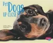 Pet Dogs Up Close
