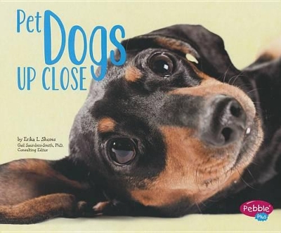 Pet Dogs Up Close