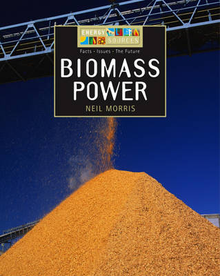 Energy Sources: Biomass Power