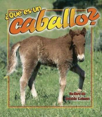 Que es un Caballo?
