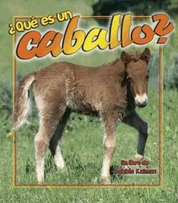 Que es un Caballo?