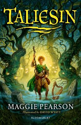 Taliesin: A Bloomsbury Reader: Grey Book Band
