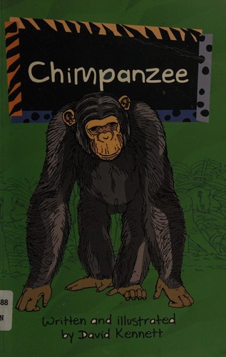 Chimpanzee