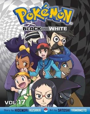 Pokémon Black and White, Vol. 17
