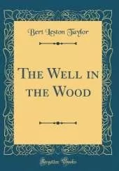 The Well in the Wood (Classic Reprint)