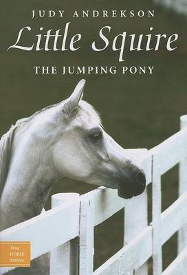 Little Squire: The Jumping Pony
