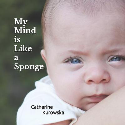 My Mind is Like a Sponge