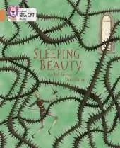 Sleeping Beauty: Band 12/Copper