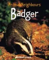 British Animals: Badger
