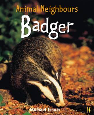 British Animals: Badger