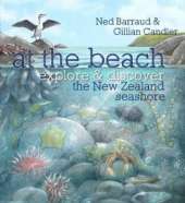 At the Beach: Explore & Discover the New Zealand Seashore
