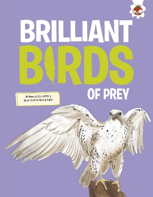 Brilliant Birds of Prey