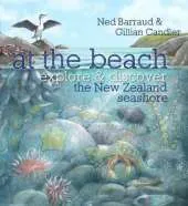 At the Beach: Explore & Discover the New Zealand Seashore