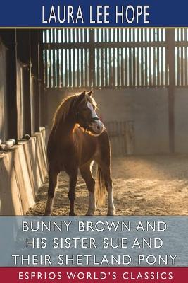 Bunny Brown and His Sister Sue and Their Shetland Pony (Esprios Classics): Illustrated by Thelma Gooch