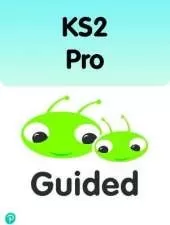 Bug Club Comprehension Y6 Term 1 Pupil Workbook 16-pack
