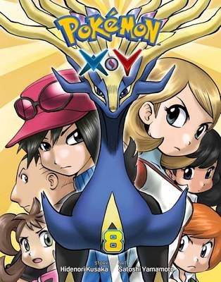 Pokemon X Y, Vol. 8