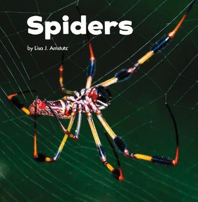 Spiders