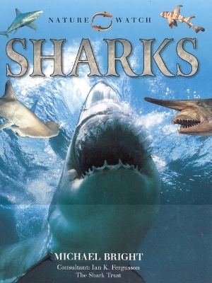 Sharks