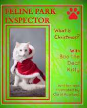 What is Christmas?: Feline Park Inspector