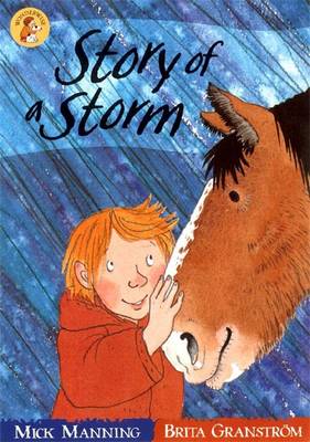 Wonderwise Readers: Story Of A Storm