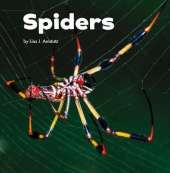 Spiders