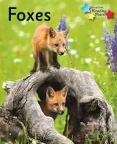 Foxes: Phonics Phase 5