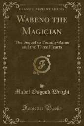 Wabeno the Magician: The Sequel to Tommy-Anne and the Three Hearts (Classic Reprint)