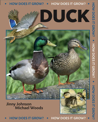 How Does it Grow?: Duck