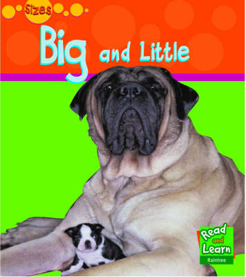 Read and Learn: Sizes: Big and Little