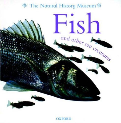Fish and Other Sea Creatures