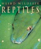 WEIRD WILDLIFE REPTILES