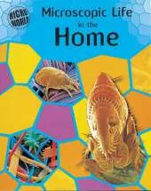 Microscopic Life In Your Home