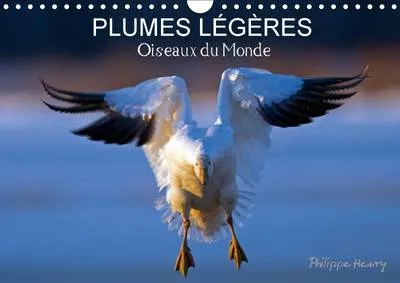 Plumes Legeres. Oiseaux du Monde 2017: Treize Photos d'Oiseaux en Action, Photographies Avec l'Oeil D'Artiste de Philippe Henry
