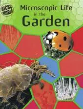 Microscopic Life In Your Garden