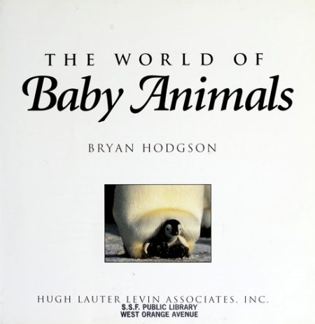 The World of Baby Animals