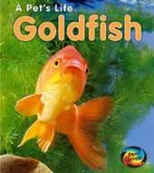 Goldfish