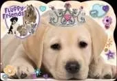 Playful Puppy: A Fluffy Friends Story Book